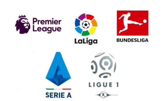 施和完善的 施和完善的